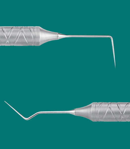 Endo Explorer